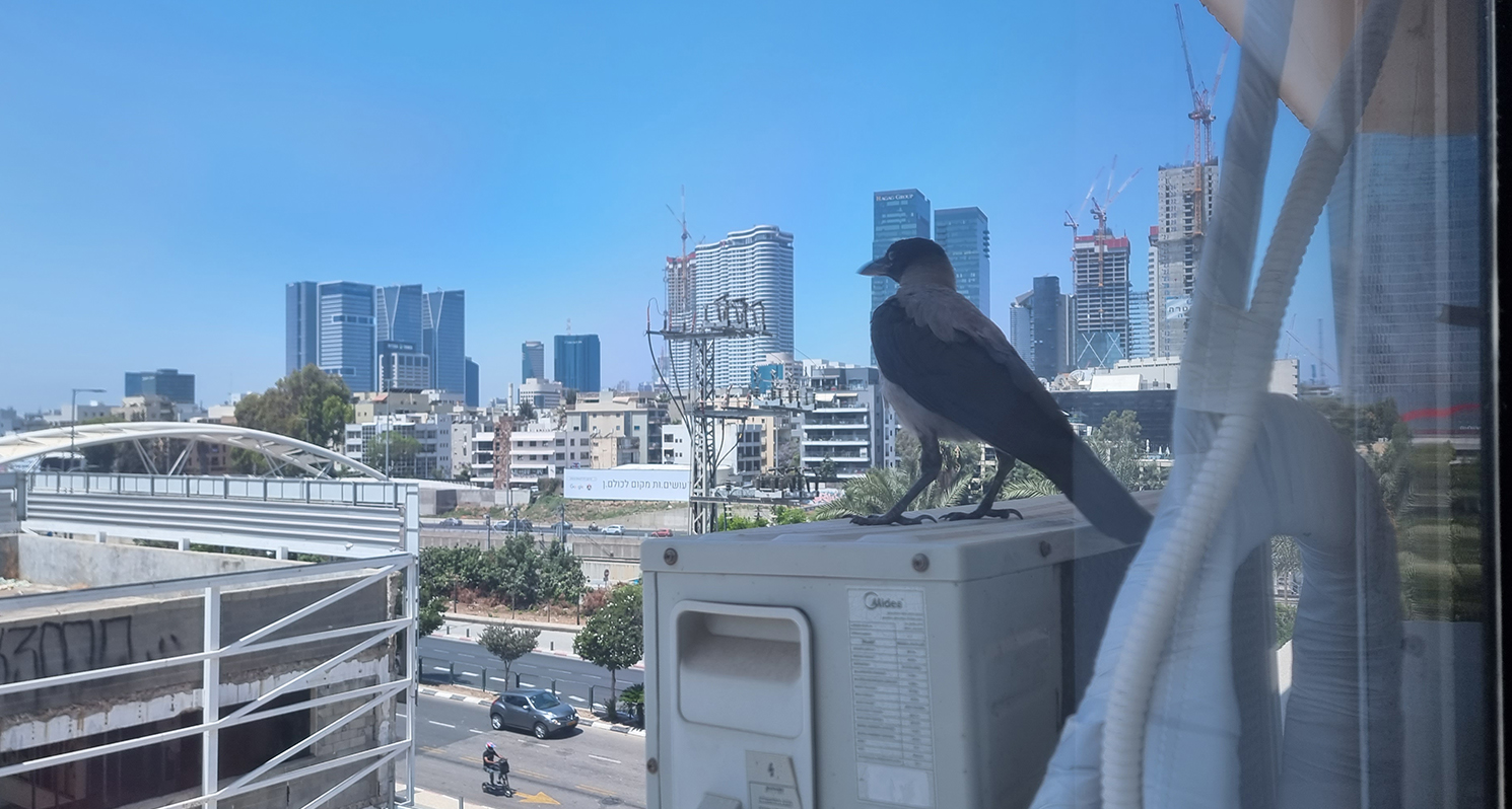 agvertising ahoy creative agvertising agency advertising agency branding agriculture agtech logo design