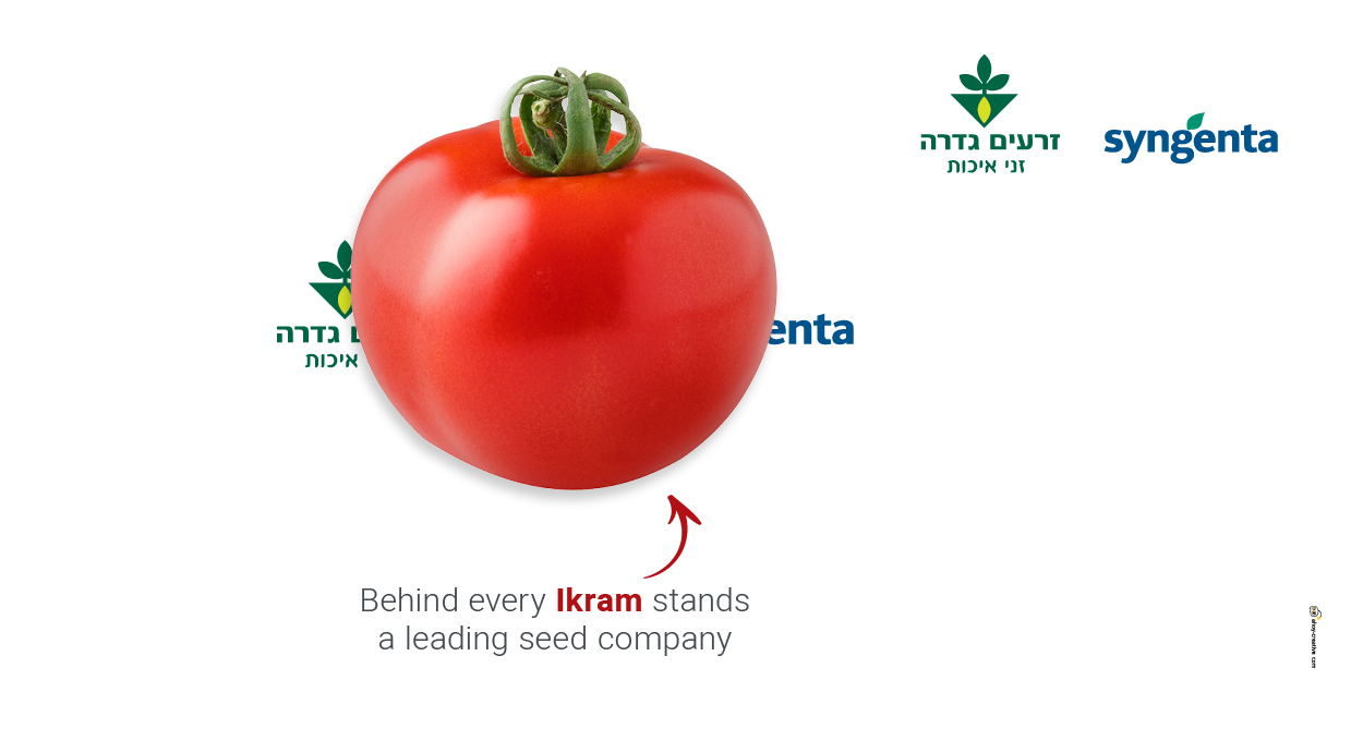 agvertising ahoy advertising agency print ads ad newspaper ad agriculture design copywriting creative ad zeraim gedera syngenta