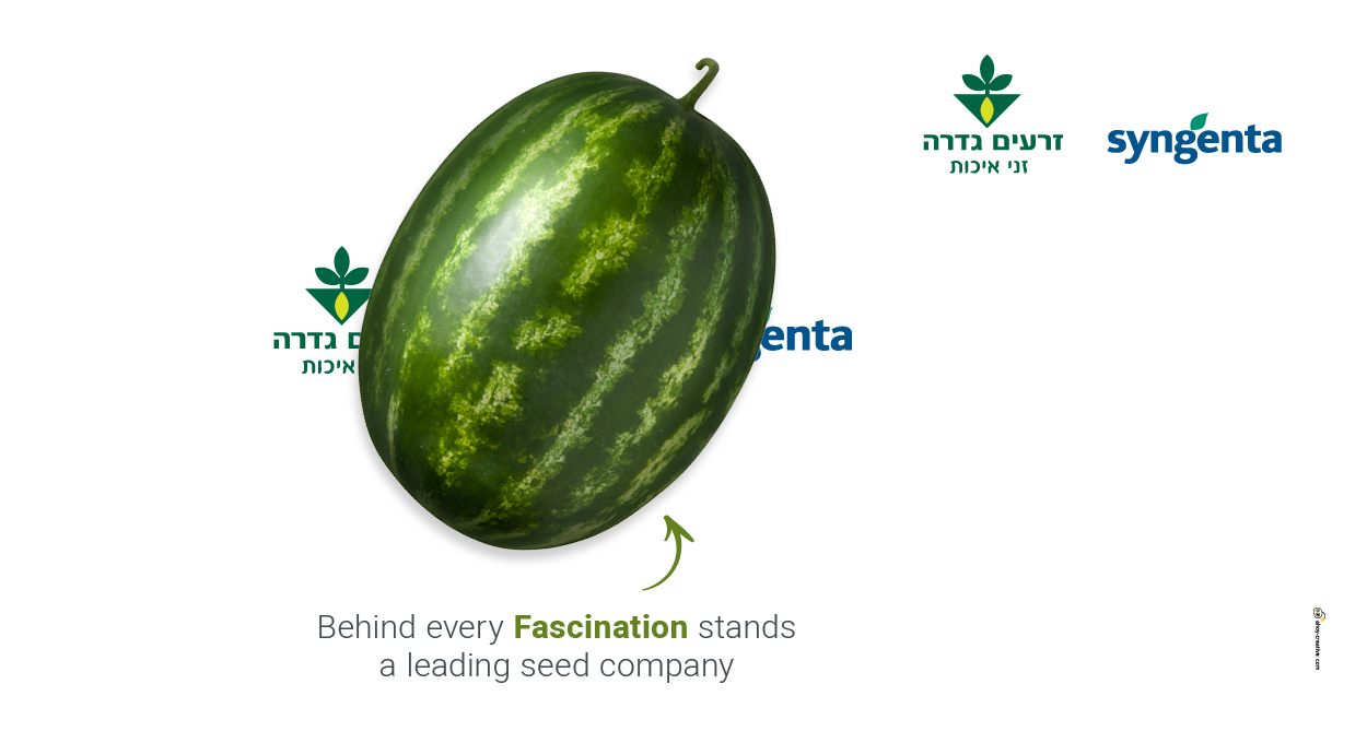 agvertising ahoy advertising agency print ads ad newspaper ad agriculture design copywriting creative ad zeraim gedera syngenta