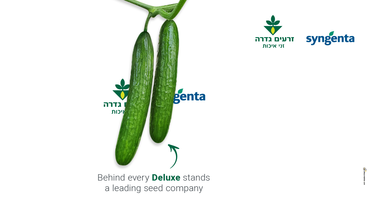 agvertising ahoy advertising agency print ads ad newspaper ad agriculture design copywriting creative ad zeraim gedera syngenta