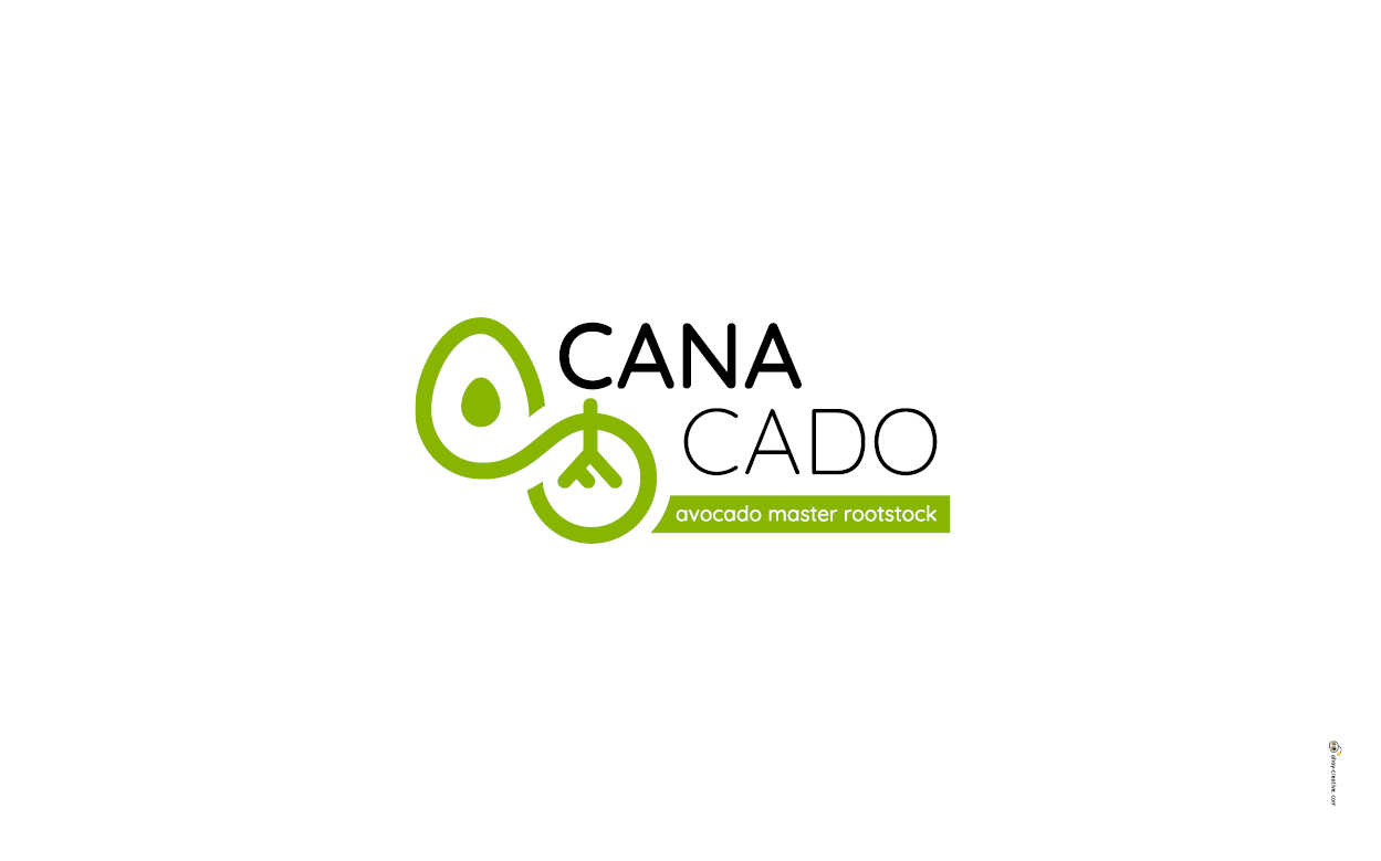 canacado haskelberg nurseries avocado rootstocks branding ahoy creative design logo design agvertising advertising