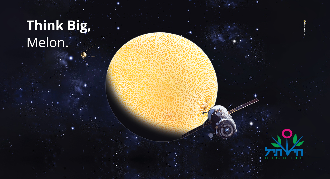 agvertising ahoy advertising agency print ads ad newspaper ad agriculture design copywriting creative ad hishtil