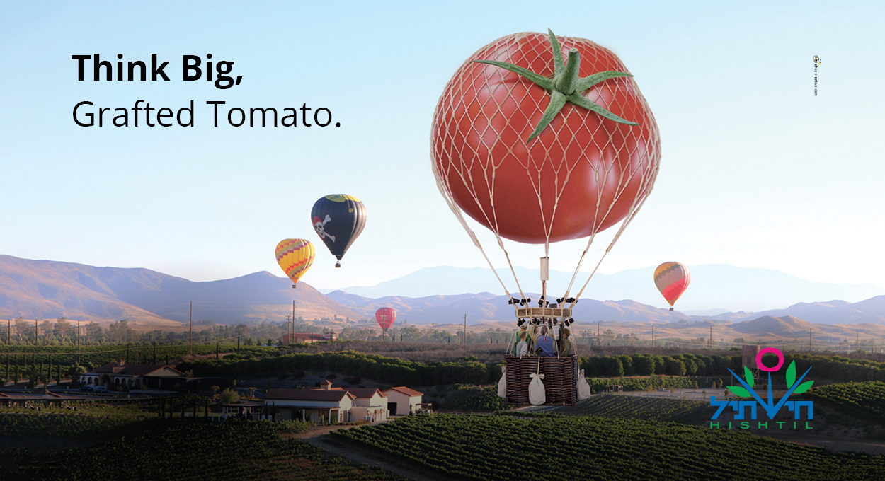 agvertising ahoy advertising agency print ads ad newspaper ad agriculture design copywriting creative ad hishtil