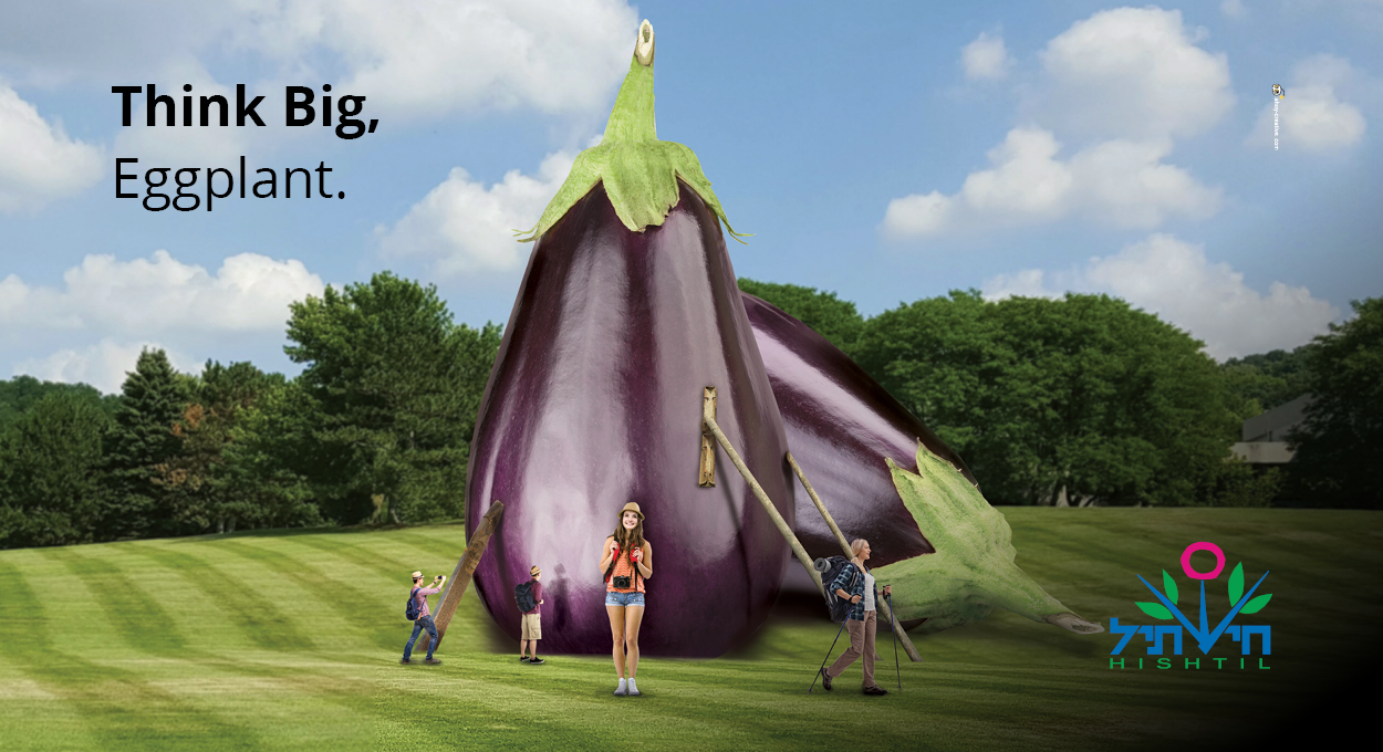 agvertising ahoy advertising agency print ads ad newspaper ad agriculture design copywriting creative ad hishtil