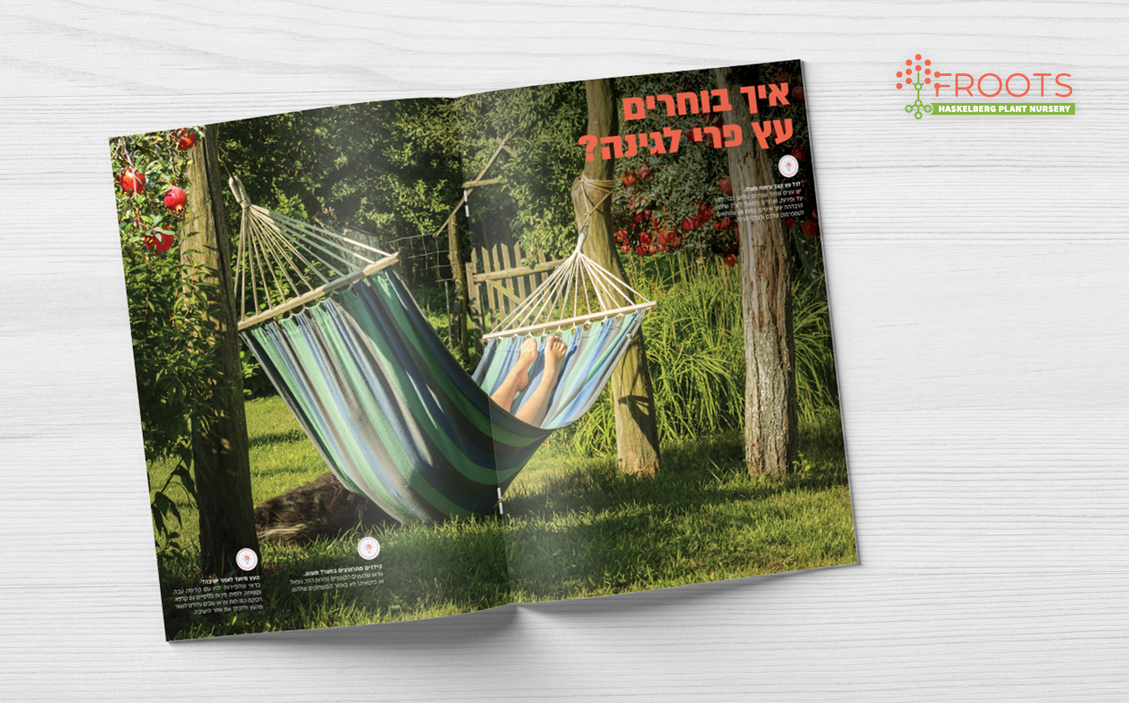 agvertising ahoy creative advertising agency design studio agriculture catalouge catalog brochure calander creative studio branding haskelberg nurseries froots