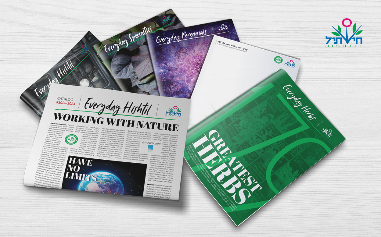 agvertising ahoy creative advertising agency design studio agriculture catalouge catalog brochure calander creative studio branding hishtil