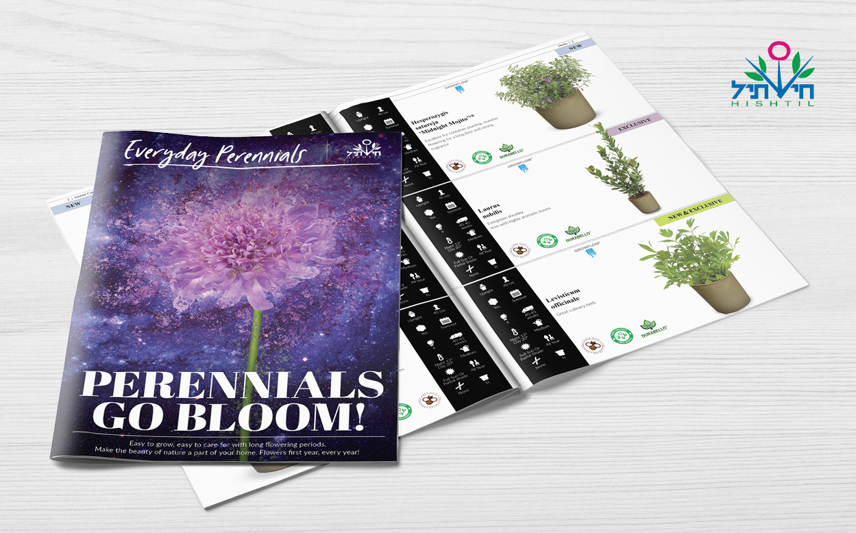 agvertising ahoy creative advertising agency design studio agriculture catalouge catalog brochure calander creative studio branding hishtil