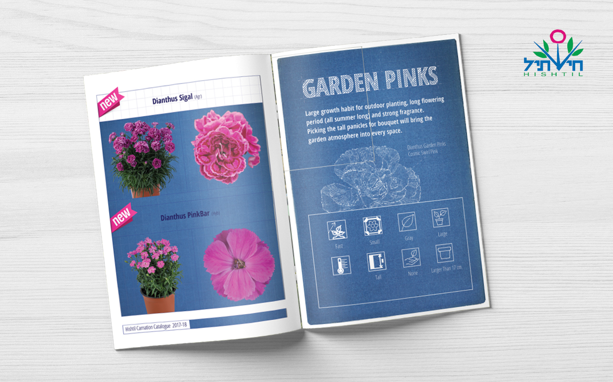 agvertising ahoy creative advertising agency design studio agriculture catalouge catalog brochure calander creative studio branding hishtil