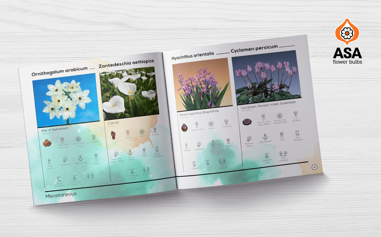 agvertising ahoy creative advertising agency design studio agriculture catalouge catalog brochure calander creative studio branding asa flower bulbs