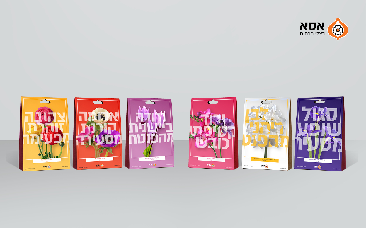 Agvertising Box design Package design box branding package branding fresh produce package design ahoy creative advertising agency asa flower bulb bulb capper cupper